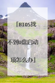 BIOS找不到U盘启动项怎么办