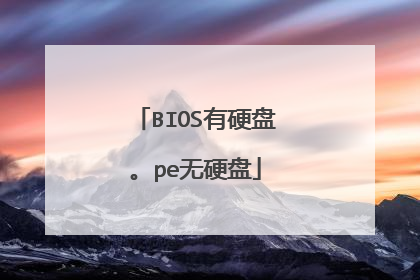 BIOS有硬盘。pe无硬盘
