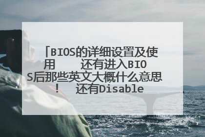 BIOS的详细设置及使用 还有进入BIOS后那些英文大概什么意思! 还有Disabled 和Enabled是什么意思 ...