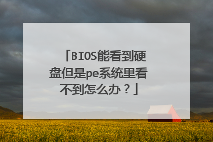 BIOS能看到硬盘但是pe系统里看不到怎么办?