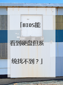BIOS能看到硬盘但系统找不到?