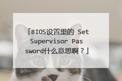 BIOS设置里的 Set Supervisor Password什么意思啊？