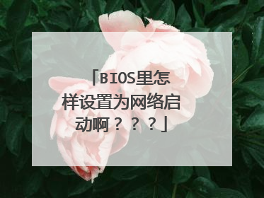 BIOS里怎样设置为网络启动啊???