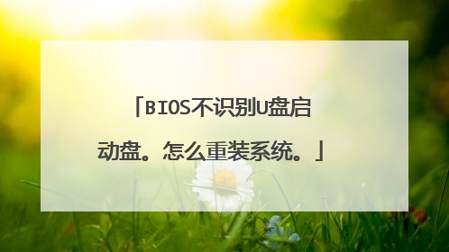 BIOS不识别U盘启动盘。怎么重装系统。