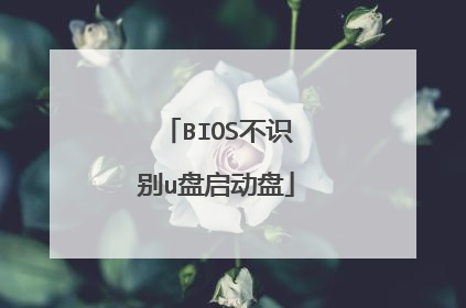 BIOS不识别u盘启动盘