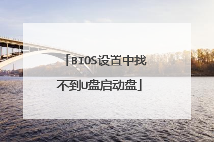 BIOS设置中找不到U盘启动盘
