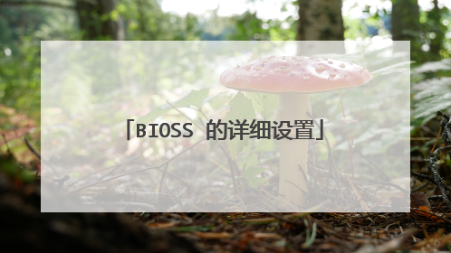 BIOSS 的详细设置