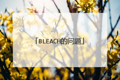 BLEACH的问题