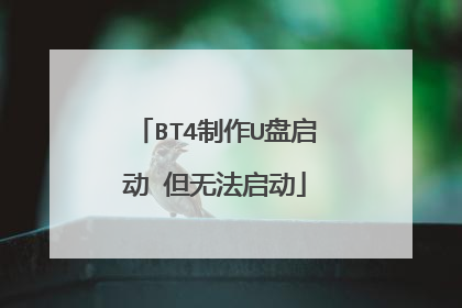 BT4制作U盘启动 但无法启动