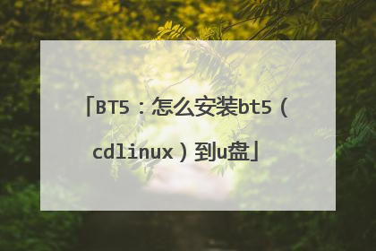 BT5：怎么安装bt5（cdlinux）到u盘