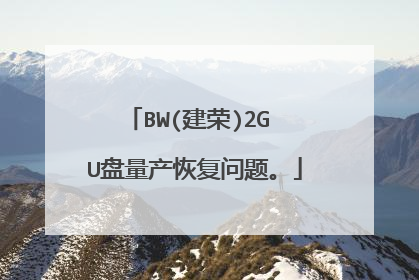 BW(建荣)2G U盘量产恢复问题。