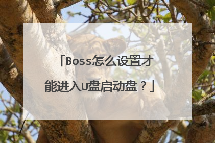 Boss怎么设置才能进入U盘启动盘？