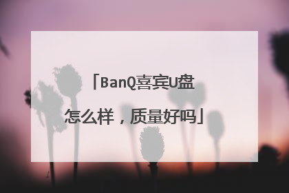 BanQ喜宾U盘怎么样,质量好吗