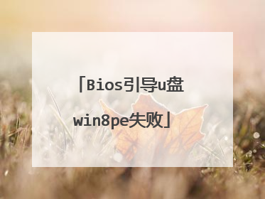 Bios引导u盘win8pe失败