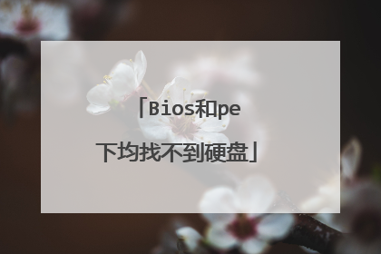 Bios和pe下均找不到硬盘