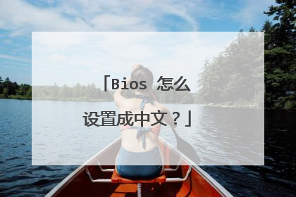 Bios 怎么设置成中文?