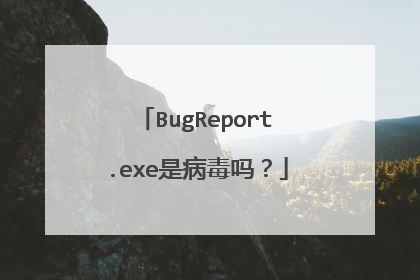 BugReport.exe是病毒吗?