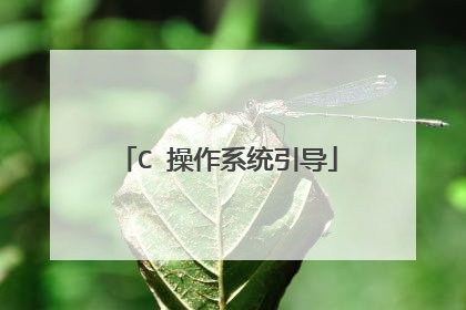 C 操作系统引导