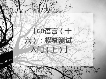 GO语言(十六):模糊测试入门(上)