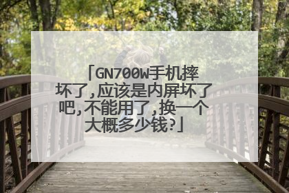GN700W手机摔坏了,应该是内屏坏了吧,不能用了,换一个大概多少钱?