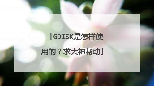 GDISK是怎样使用的?求大神帮助
