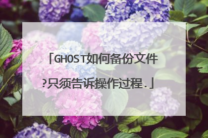 GHOST如何备份文件?只须告诉操作过程.