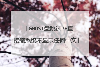 GHOST盘跳过PE直接装系统不显示任何中文