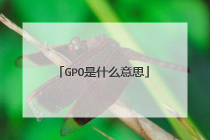 GPO是什么意思
