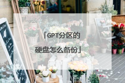 GPT分区的硬盘怎么备份