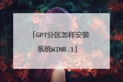 GPT分区怎样安装系统WIN8.1
