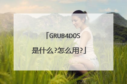 GRUB4DOS是什么?怎么用?