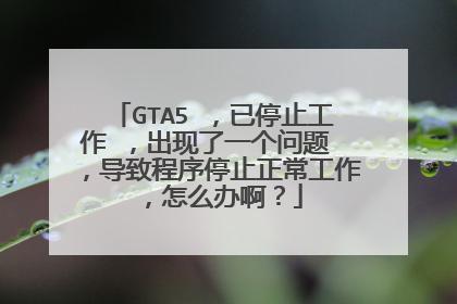 GTA5 ,已停止工作 ,出现了一个问题 ,导致程序停止正常工作 ,怎么办啊?