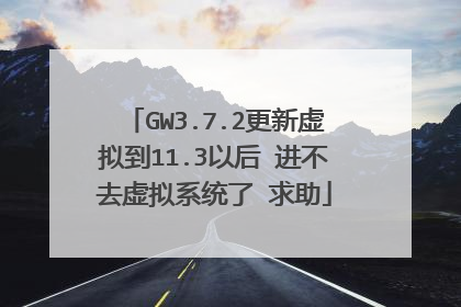 GW3.7.2更新虚拟到11.3以后 进不去虚拟系统了 求助