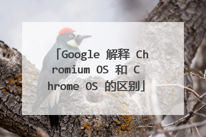 Google 解释 Chromium OS 和 Chrome OS 的区别