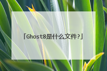Ghost8是什么文件?