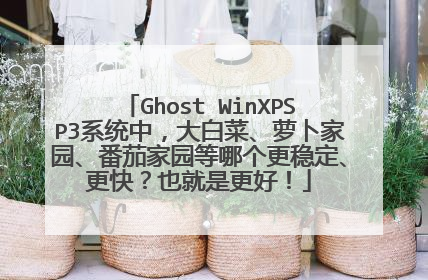 Ghost WinXPSP3系统中,大白菜、萝卜家园、番茄家园等哪个更稳定、更快?也就是更好!