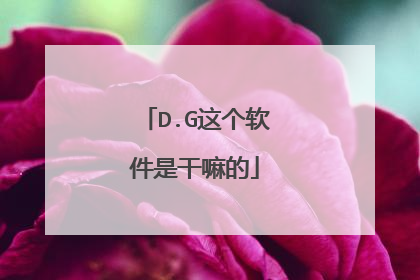 D.G这个软件是干嘛的