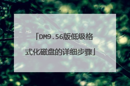 DM9.56版低级格式化磁盘的详细步骤