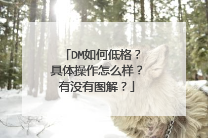 DM如何低格?具体操作怎么样?有没有图解?