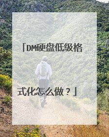 DM硬盘低级格式化怎么做?