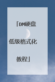 DM硬盘低级格式化教程