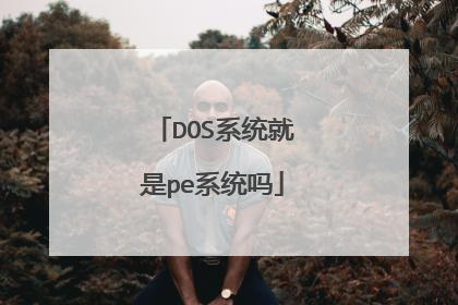DOS系统就是pe系统吗