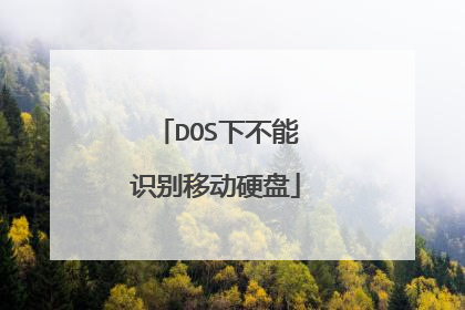 DOS下不能识别移动硬盘