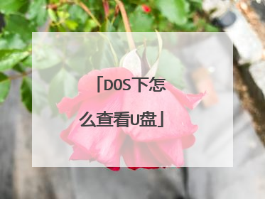 DOS下怎么查看U盘