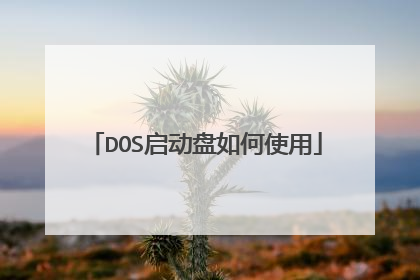 DOS启动盘如何使用
