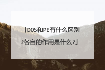 DOS和PE有什么区别?各自的作用是什么?