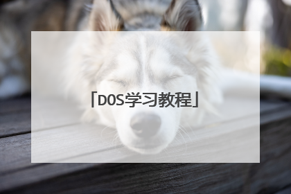 DOS学习教程