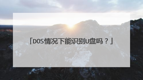 DOS情况下能识别U盘吗？