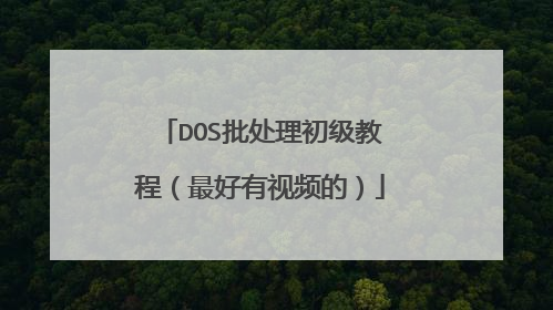 DOS批处理初级教程(最好有视频的)