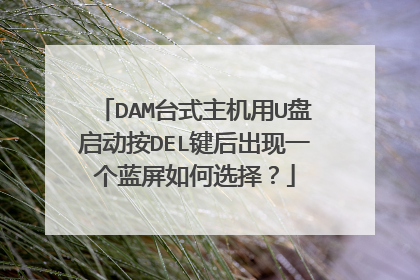 DAM台式主机用U盘启动按DEL键后出现一个蓝屏如何选择?